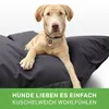 Green Bean Hundebett für mittlere & große Hunde 120x160cm Produktbild-Vorschau 4