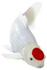 Mojo Sealife Koi-Karpfen – Tancho Koi – 381101 Produktbild-Vorschau 5