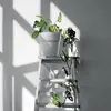 A potted plant sits on a white step stool against a white wall with dramatic shadows. Podgląd zdjęcia produktu