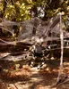 Chlupatá ryzka - Halloween-Deko 50x70cm Náhled obrázku produktu 2