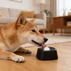 Distributeur de nourriture pour chiens, avec base Voir les images du produit 5