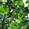 Schefflera Plante Arbre Artificielle Artificiel Plastique Voir les images du produit 4