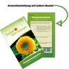 Zwergsonnenblumen Teddybär Samen - Helianthus annuus - Produktbild-Vorschau 3