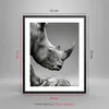 Gerahmtes Poster - Schwarzer Rahmen - Nashorn Monochrom Produktbild-Vorschau 5