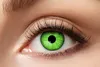 Zoelibat Eyecatcher Wochen-Kontaktlinsen Electro Green Produktbild-Vorschau 1
