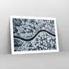 Poster - Poster ohne Rahmen - Wald Winter Straße - 70x50 cm Produktbild-Vorschau 7