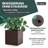 Kreher® XL Pflanzkasten „Millennium“ 39x39x39 cm - 40L Produktbild-Vorschau 6