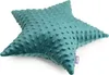 Emerald Minky Sternkissen Produktbild-Vorschau 2