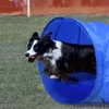 XINZI Agility Set Hunde Agility Ausrüstungs Set für Hunde Produktbild-Vorschau 11