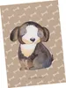Mr. & Mrs. Panda Postkarte Hund Entspannen - Hundeglück - Produktbild-Vorschau 1