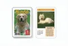 ASS Quartet dogs, 1 set Voir les images du produit 1