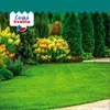 Eden Garden Travní směs Oáza (1 kg na 50 m²) Náhled obrázku produktu 2