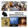 Collage of images showing dogs in various scenarios where noise protection might be needed, along with a product shot of ear protectors. Produktbild-Vorschau