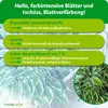 Purgrün Ficus-Benjamini-Dünger 1 Liter, Produktbild-Vorschau 3