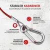 Abrissseil 1m Anhänger Fangseil Sicherungsseil Karabiner Produktbild-Vorschau 11