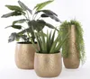 Mica Decorations Blumentopf Terracotta Clemente Ø 32 x 25,5 Produktbild-Vorschau 3