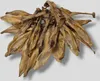 3kg Kaninchenohren ohne Fell Hundesnack Hundefutter Produktbild-Vorschau 2