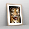 Gerahmtes Poster - Rahmen in heller Eiche - tiger tier - Produktbild-Vorschau 8