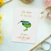 Mr. & Mrs. Panda Postkarte Kiwi Neuseeland - Geschenk, Produktbild-Vorschau 2