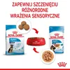 Royal Canin Maxi Puppy 10x140g Produktbild-Vorschau 8