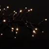 Kaemingk Lumineo Cluster Lichterkette 288 LED warmweiß Produktbild-Vorschau 15