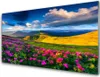 Acrylglasbilder 100x50 Wandbild Druck Wiese Blumen Natur Produktbild-Vorschau 1