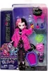A Monster High doll in its packaging, with accessories. Anteprima dell’immagine prodotto