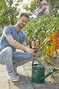SUBSTRAL® Naturen®  Obst und Gemüse Nahrung 1 Liter Produktbild-Vorschau 7