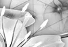 Akustikbild Blumen 200x100 cm Bilder Akustikschaum Produktbild-Vorschau 3