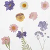 BUTLERS Bilderrahmen TRUE BLOOM Produktbild-Vorschau 4