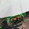 Tunnel de protection pour plantes Relaxdays, longueur 3,4 Voir les images du produit 5