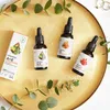 Integratori alimentari Aura Herbals Witamina A, E Anteprima dell’immagine prodotto 3