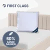 Daunenkissen 80x80 cm, Kissen 60% Gänsedaunen / 40% Produktbild-Vorschau 1