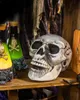 Preiswerter Totenschädel 24cm als Halloween Deko Produktbild-Vorschau 6