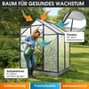 BRAST Gewächshaus Aluminium mit Fundament | 130x190x195cm Produktbild-Vorschau 6
