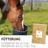Supravit Hafer ganz 2,5kg | Frischer gelber Futterhafer Produktbild-Vorschau 6