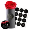 MyFlowers "Infinity" roos - een echte, geconserveerde Productafbeelding-voorbeeld 1