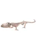 Halloween-Dekoration: Skelett-Krokodil (16 x 50 cm) Produktbild-Vorschau 1