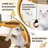 Two cats interacting with a cat tree and a hanging toy. Podgląd zdjęcia produktu