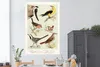 MuchoWow® Poster Vogel - Vintage - Zeichnung 120x180 cm - Produktbild-Vorschau 2