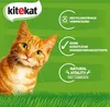 KITEKAT Portionsbeutel Multipack Bunte Vielfalt in Sauce 3 Produktbild-Vorschau 2