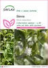 SAFLAX  - Stevia - 100 semi - Stevia Anteprima dell’immagine prodotto 1