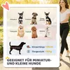 PawHut Hundewagen Faltbar Hundebuggy bis 10kg mit Produktbild-Vorschau 4