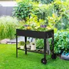 A raised garden bed filled with flowers and plants, situated on a green lawn in a garden setting. Voir les images du produit
