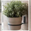A potted plant in a white pot is mounted on a wooden wall using a black metal bracket. Náhľad obrázku produktu