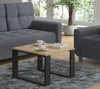 A living room scene with a couch, coffee table, and plant. Náhled obrázku produktu