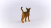 Gatto abissino Schleich Farm World, figura di gioco Anteprima dell’immagine prodotto 7