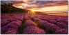Tulup® Leinwandbild - 140x70 cm - Wandkunst - Drucke auf Produktbild-Vorschau 1