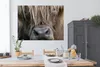 MuchoWow® Poster Schottischer Highlander - Braun - Nase Produktbild-Vorschau 3