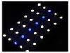 Several strips of LED lights with alternating white and blue LEDs against a black background. Anteprima dell’immagine prodotto